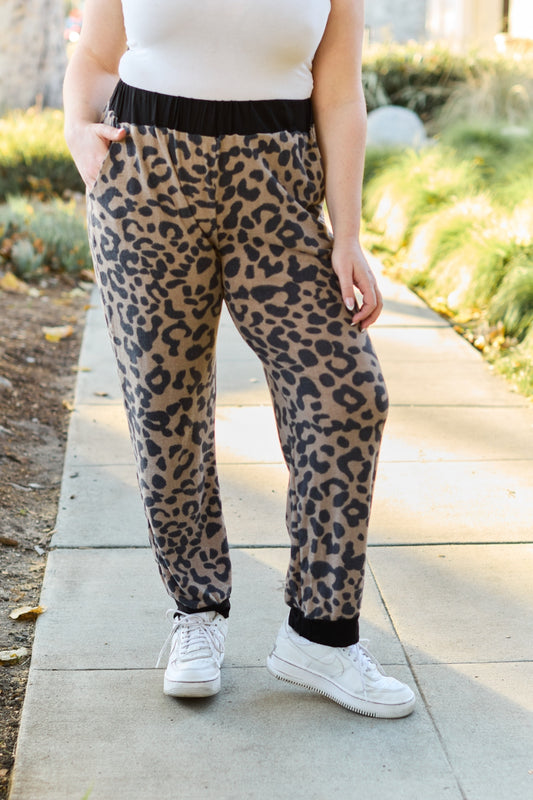 Leopard Contrast Sweatpants